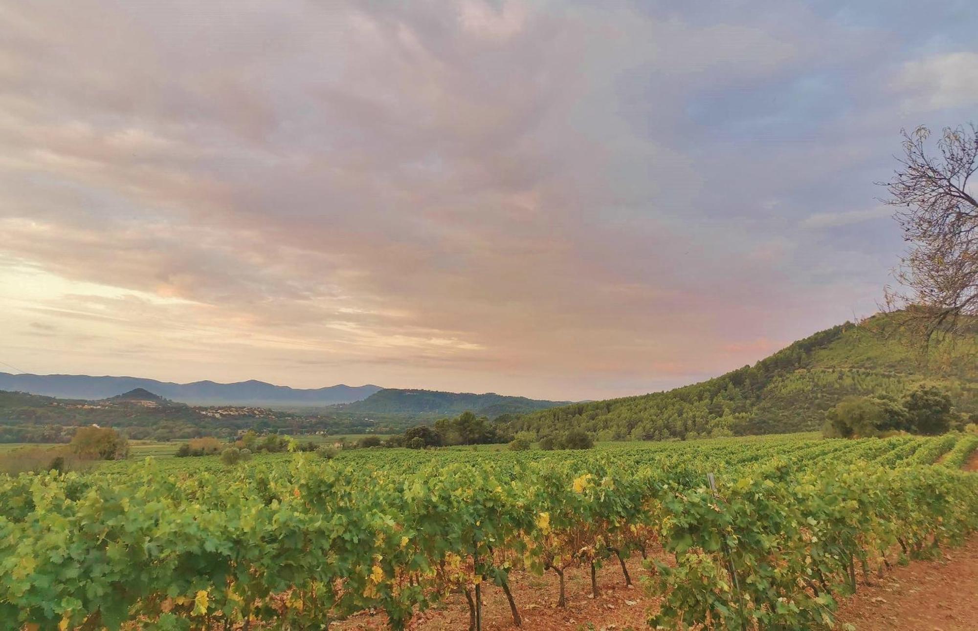 Le Nid En Chante Vue Panoramique * Les Arcs-sur-Argens