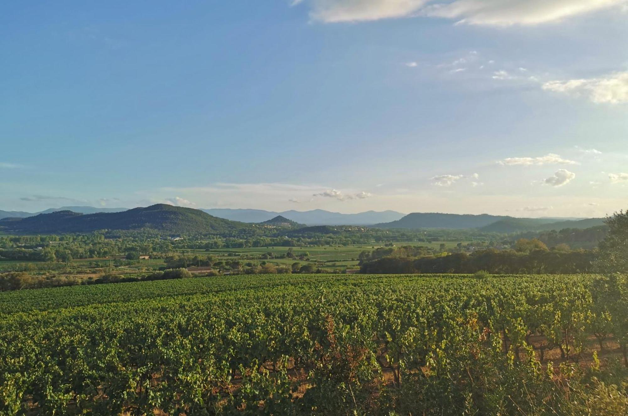 Le Nid En Chante Vue Panoramique